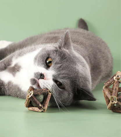 Sandsberg | Polygonum Katzenminze Grasball