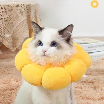 Sandsberg | Elizabeth Ring Anti-Leck-Floh-Entfernungshalsband