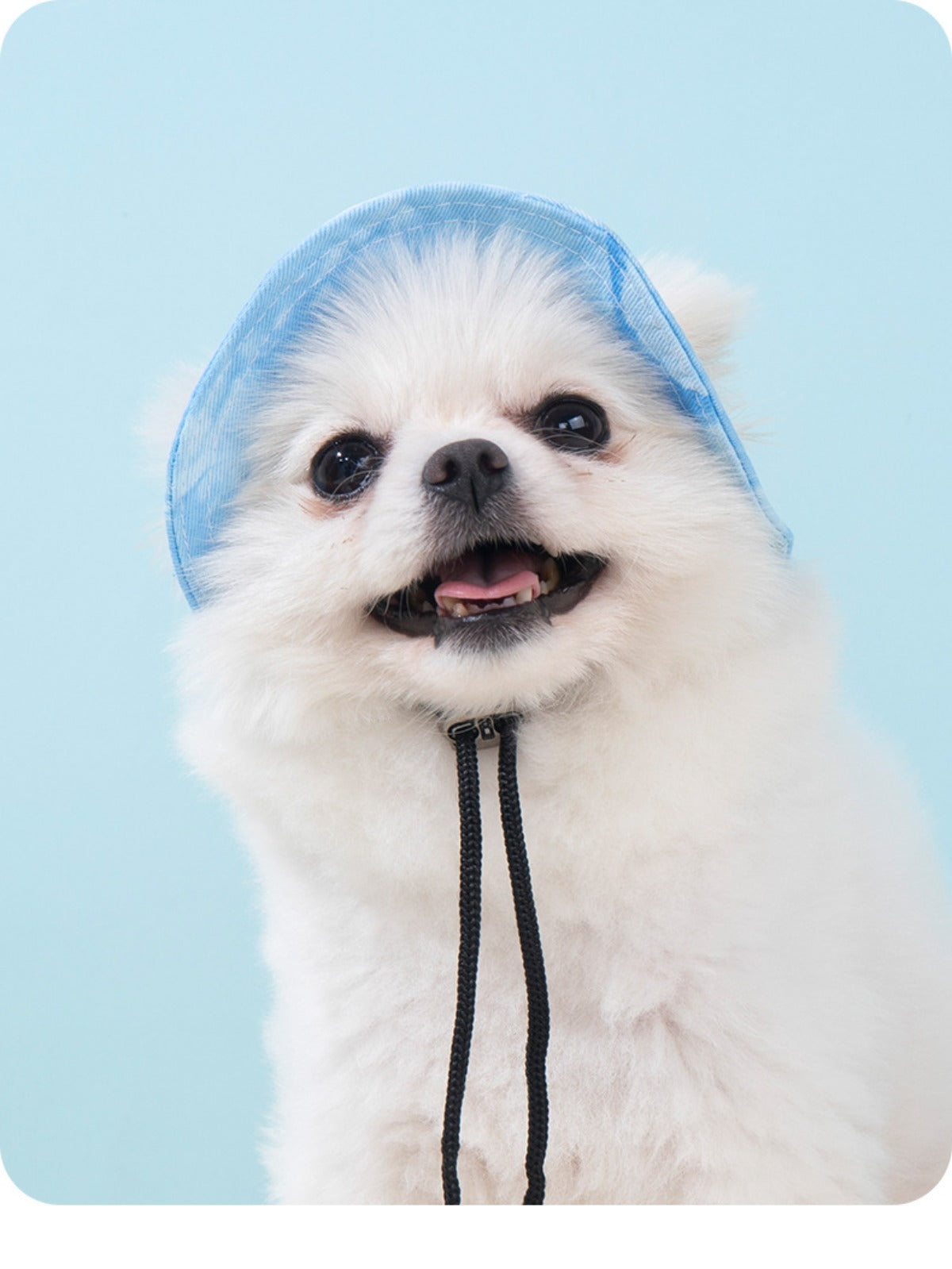 Sandsberg | Hund Katze Sonnenschirm Eimer Hut