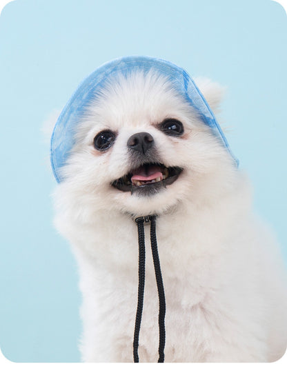 Sandsberg | Hund Katze Sonnenschirm Eimer Hut