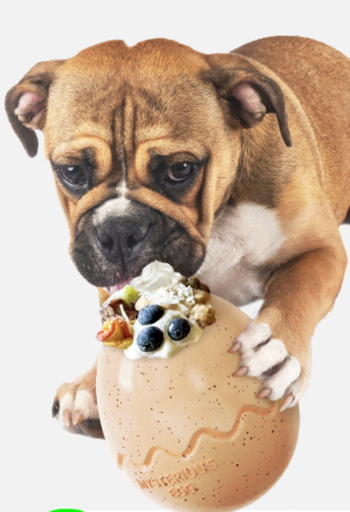 Sandsberg | Slow Food Leaks Dinosaurier-Eier Slow Food Hundespielzeug