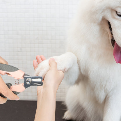 Sandsberg | Nagelknipser für Haustiere