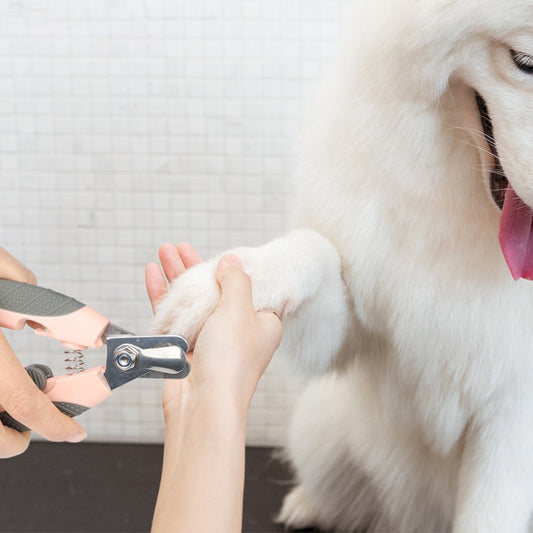 Sandsberg | Nagelknipser für Haustiere