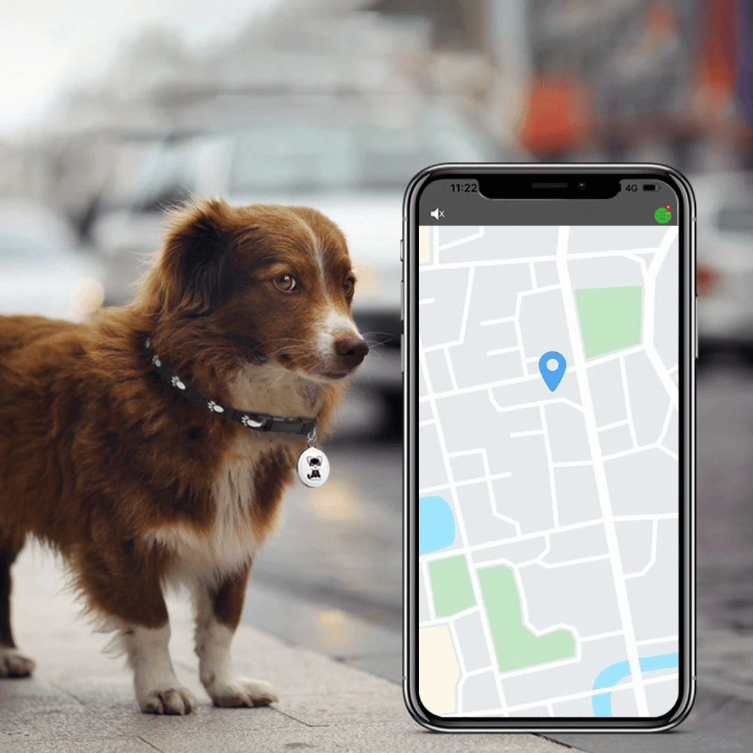 Sandsberg | Haustier GPS Tracker - Hunde und Katzen - Android und iOS