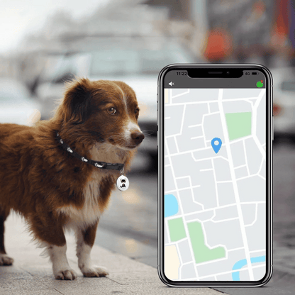 Sandsberg | Haustier GPS Tracker - Hunde und Katzen - Android und iOS