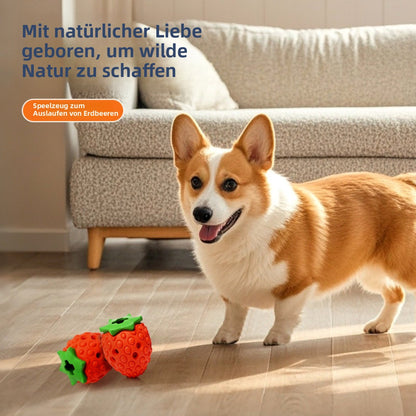 Sandsberg | Fehlende Lebensmittel Tibetisches Essen Erdbeere Backenzahn Spielzeug