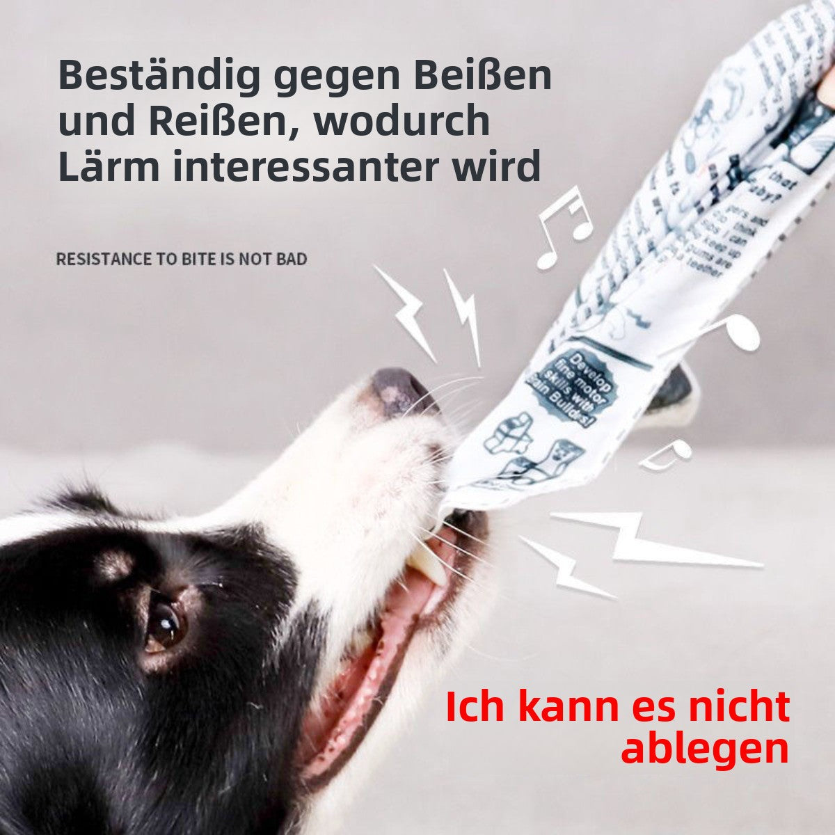 Sandsberg | Haustier Stimme Zeitung Klingeln Papier Schleifen Zähne Spielzeug