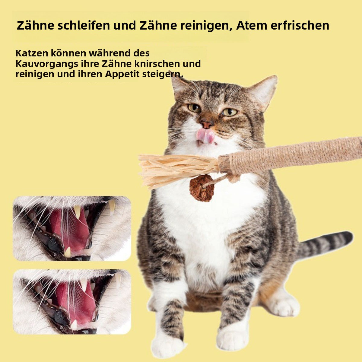 Sandsberg | Widerstandsfähige knirschende Zähne necken Katze Stick
