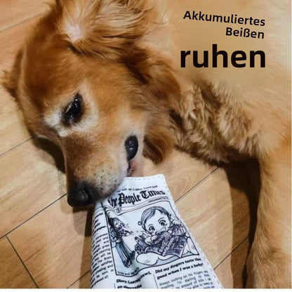 Sandsberg | Haustier Stimme Zeitung Klingeln Papier Schleifen Zähne Spielzeug