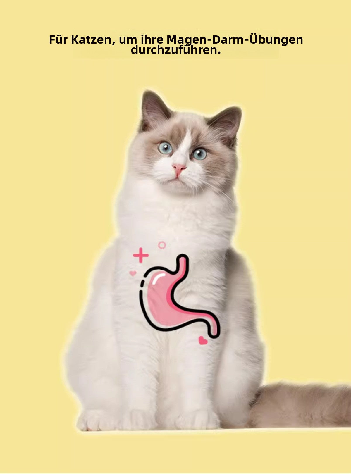 Sandsberg | Widerstandsfähige knirschende Zähne necken Katze Stick