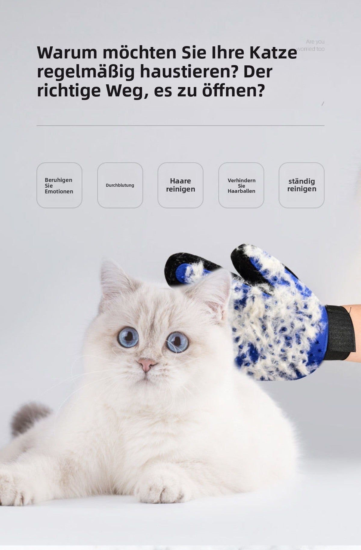 Sandsberg | Handschuhe zum Entfernen und Kämmen von Tierhaaren