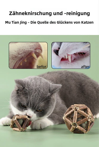 Sandsberg | Polygonum Katzenminze Grasball