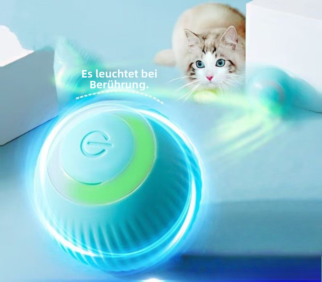 Sandsberg | Elektrischer Rollball neckt Katze