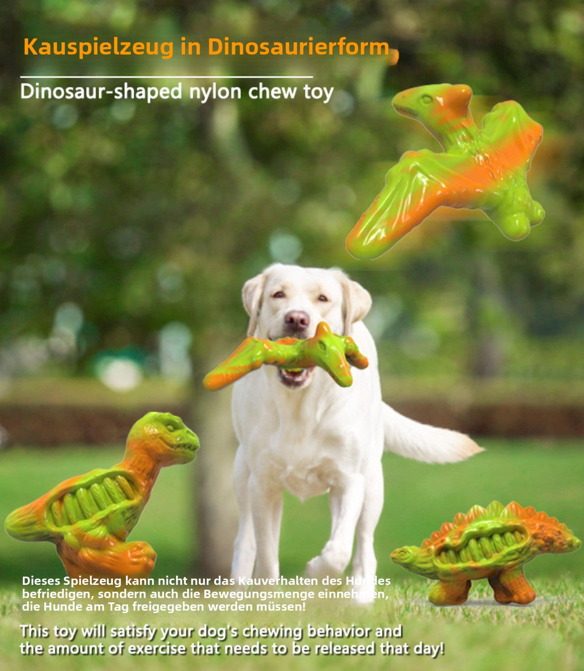 Sandsberg | Hund kaut Backenzahn Spielzeug