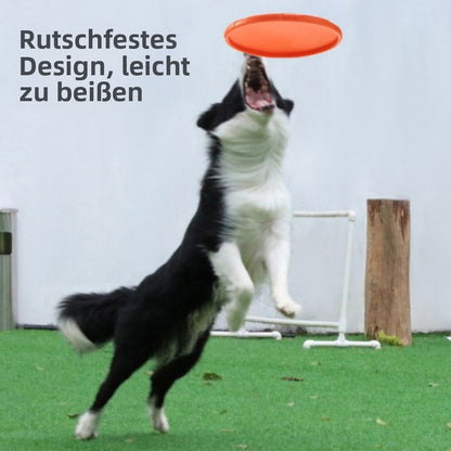 Sandsberg | TPR Pet Soft Frisbee