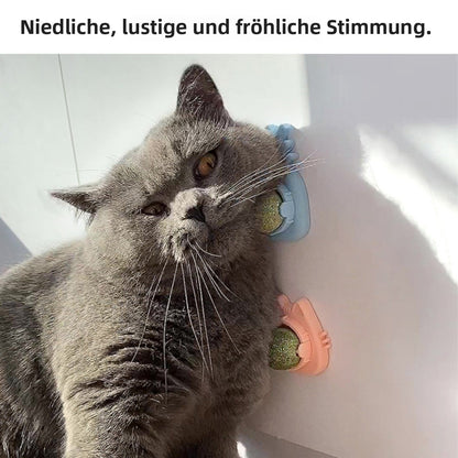 Sandsberg | Katzenminze-Bälle