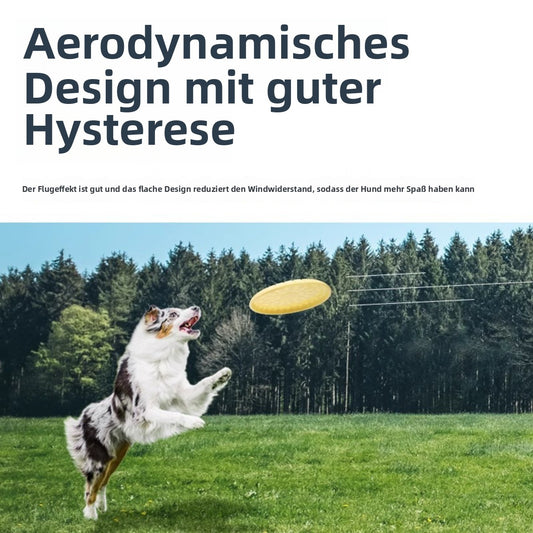 Sandsberg | Verschleißfeste Zähne interaktives Training Haustier Frisbee