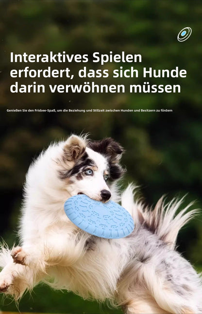 Sandsberg | Verschleißfeste Zähne interaktives Training Haustier Frisbee