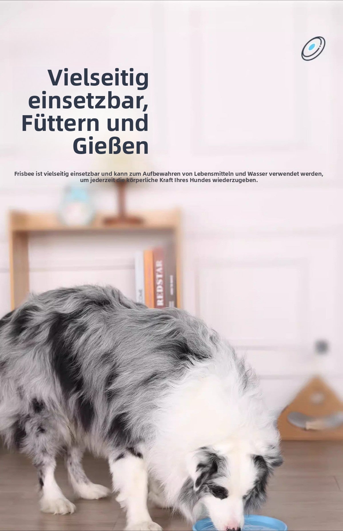 Sandsberg | Verschleißfeste Zähne interaktives Training Haustier Frisbee